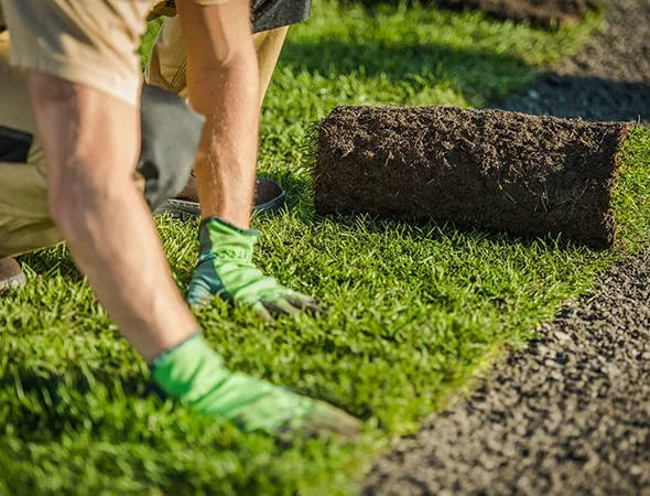 Commercial artificial grass outdoor area in Sandy Springs, GA