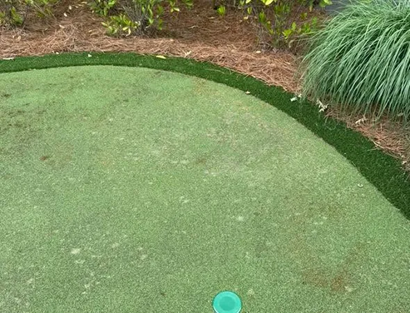Pet turf backyard designed for dogs in Johns Creek, GA