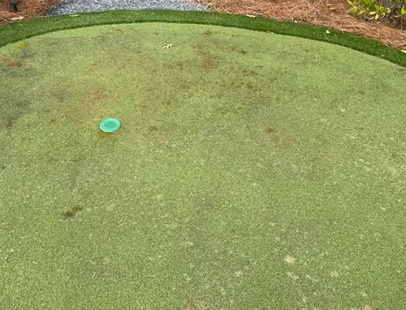 Professional pet turf installation in Johns Creek, GA