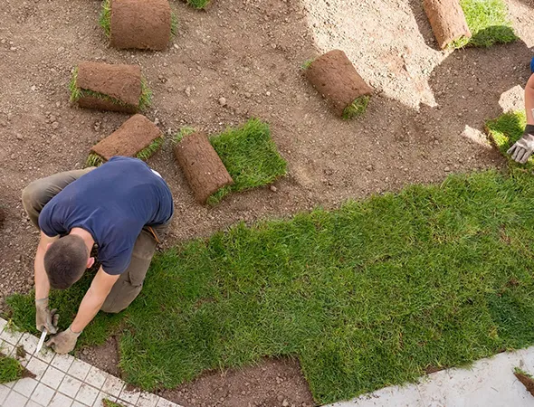 Residential turf installation creating a clean outdoor lawn area in Roswell, GA